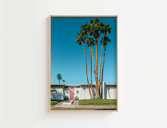 Pink Door | Palm Springs, California