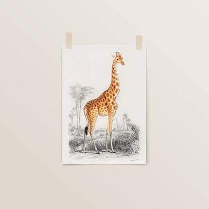 Giraffe | Water Colour | Nursery Wall Art