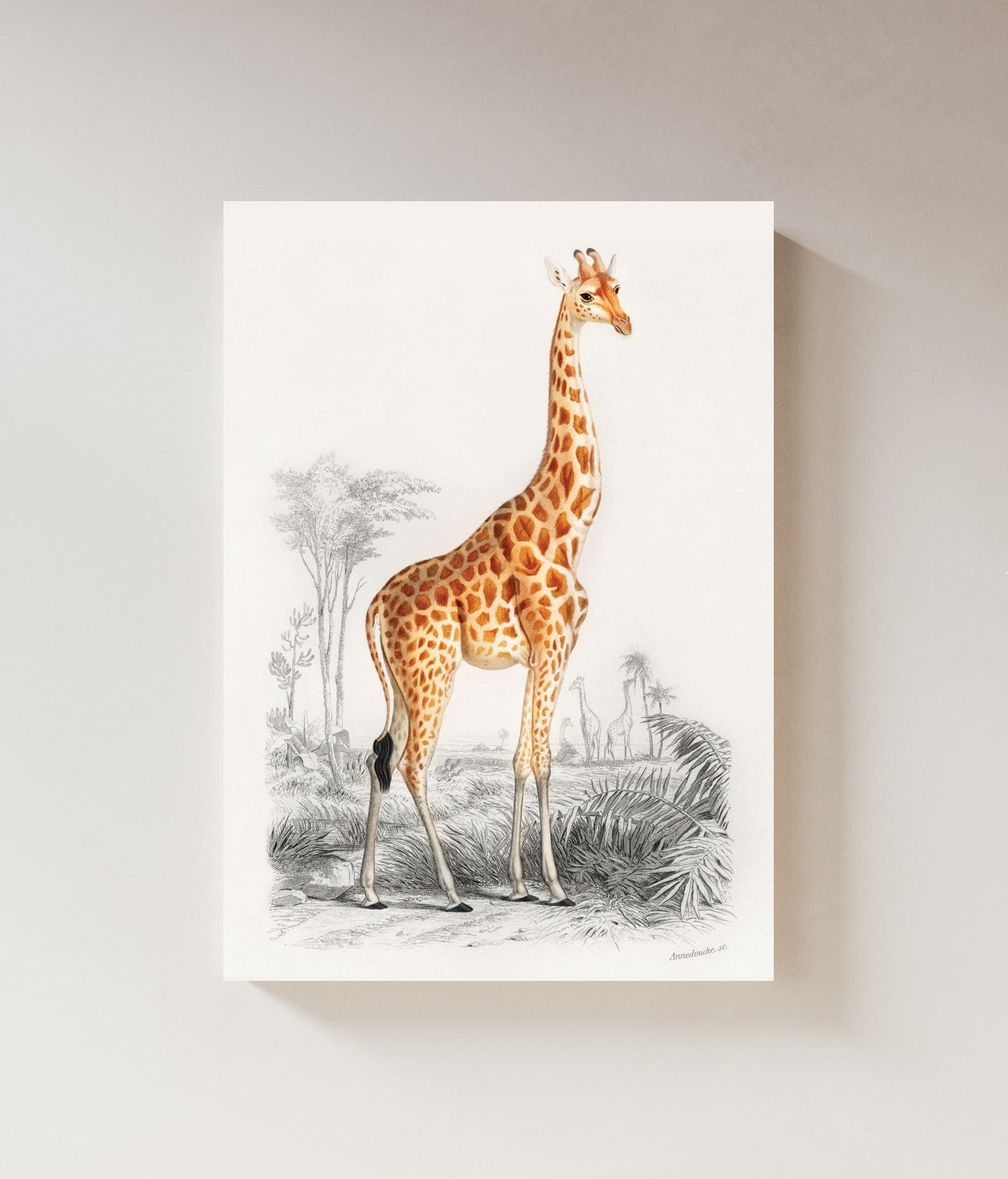 Giraffe | Water Colour | Nursery Wall Art